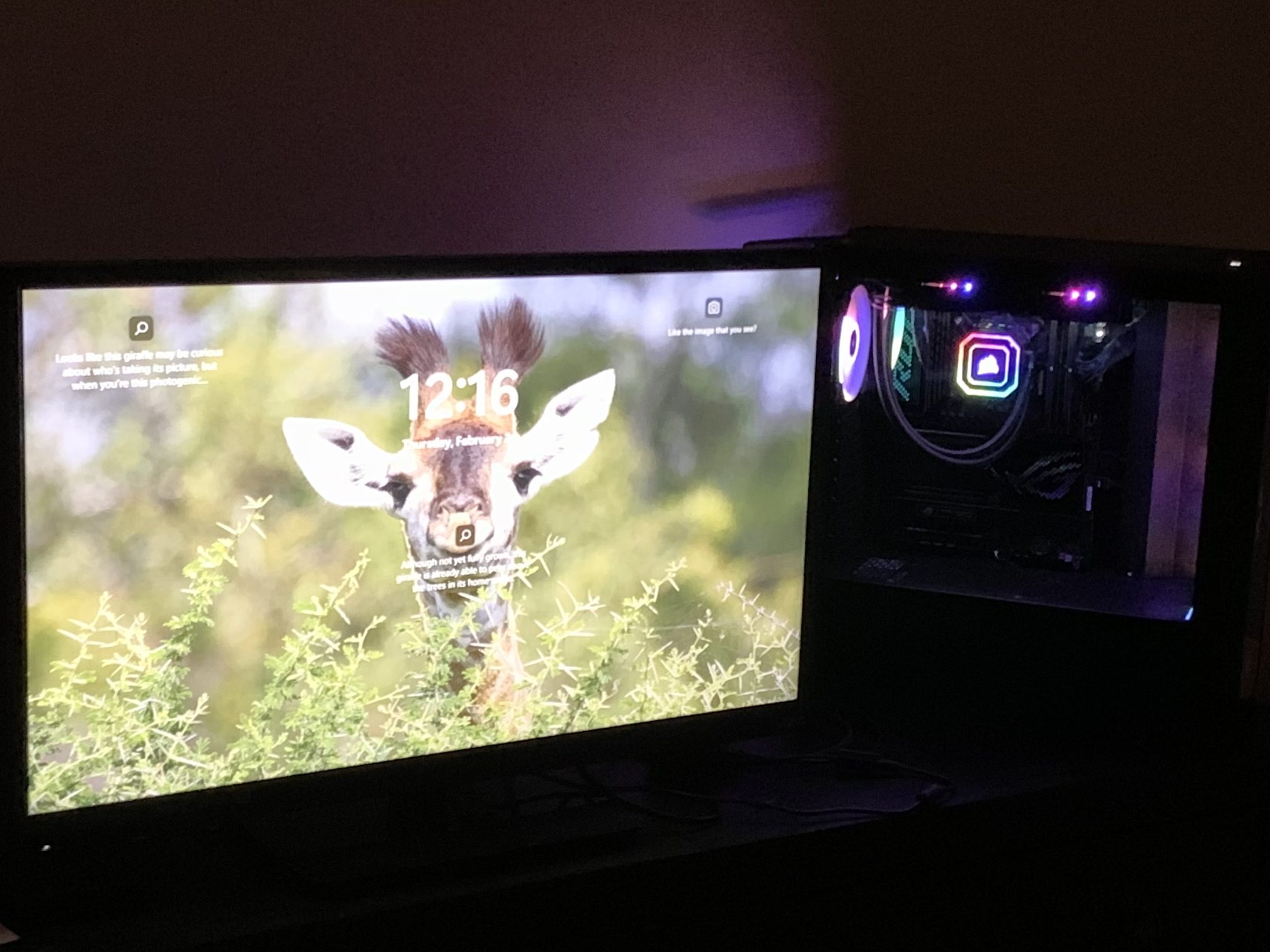 Photo of computer running showing a giraffe on the screen